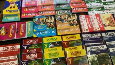 Ghana's revised basic school curriculum introduces 13 subjects, Chinese and AI for primary schools